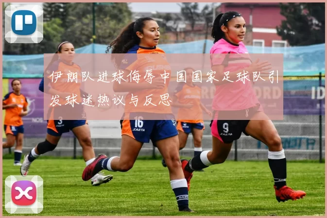 伊朗队进球侮辱中国国家足球队引发球迷热议与反思