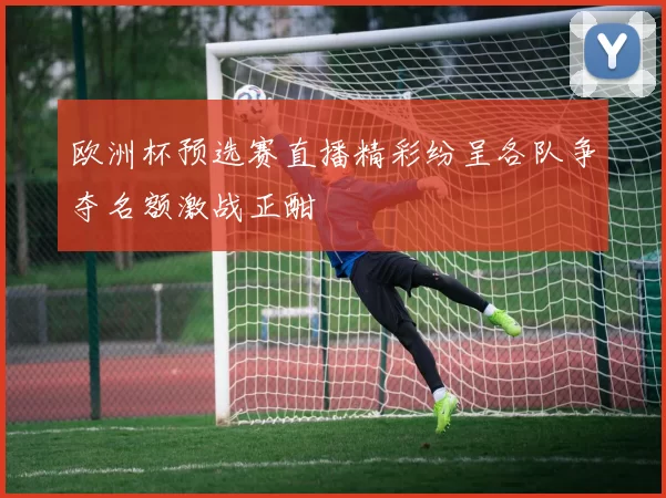 欧洲杯预选赛直播精彩纷呈各队争夺名额激战正酣